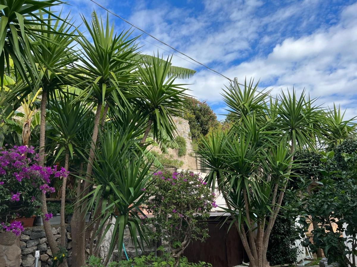 Blue Dream - Amalfi Coast Villa Conca dei Marini Exterior foto